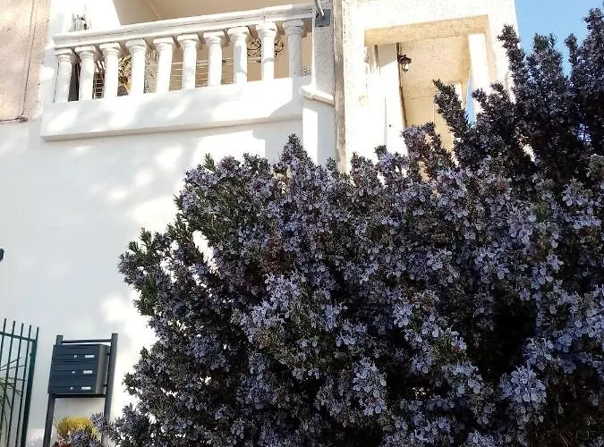 Apartamento Dolci Risvegli Vista Mare *