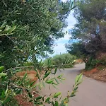Dolci Risvegli Vista Mare Διαμέρισμα Βεντιμίλια