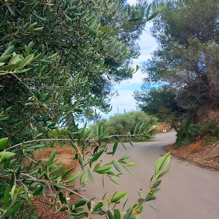 Dolci Risvegli Vista Mare 公寓 文蒂米利亚