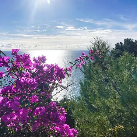 Dolci Risvegli Vista Mare *