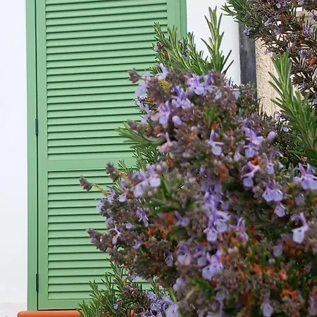 Appartement Dolci Risvegli Vista Mare *